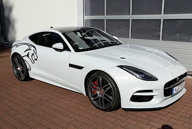 Jaguar F Type Beschriftung Mit Katze  (Bild 2/6)