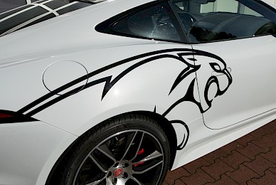 Jaguar F Type Beschriftung Mit Katze  (Bild 3/6)