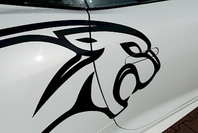 Jaguar F Type Beschriftung Mit Katze  (Bild 4/6)