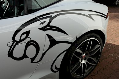 Jaguar F Type Beschriftung Mit Katze  (Bild 5/6)