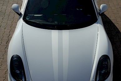 Dekorbeklebung Porsche Cayman Gt4  (Bild 4/6)